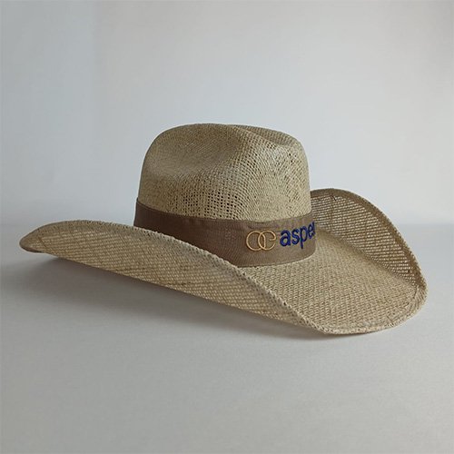 Chapéu 2
